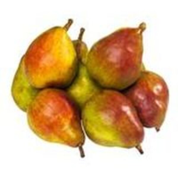 Pear Comice each