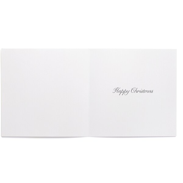 John Sands Christmas Cards Santa & Bird 10 Pack