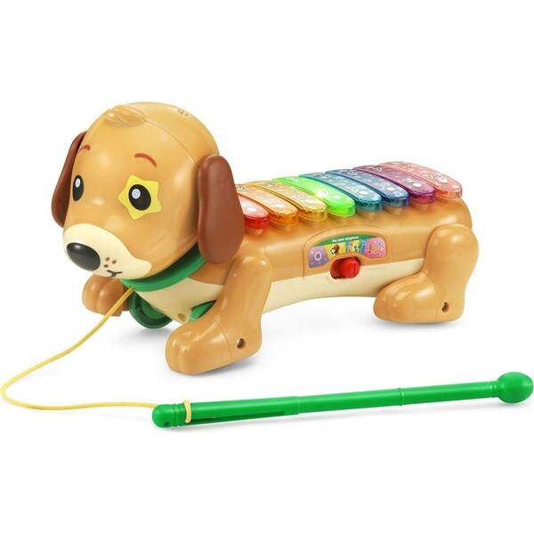 VTech Zoo Jamz Doggy Xylophone