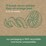 Compostic 100% Home Compostable Cling Wrap 30m each
