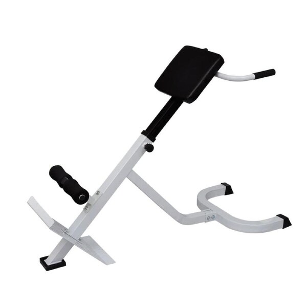 Back Extension Bench vidaXL
