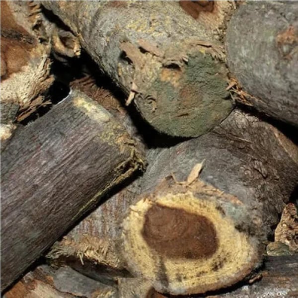 Hickory Smoking Wood Chunks 3kg - Outdoor Magic