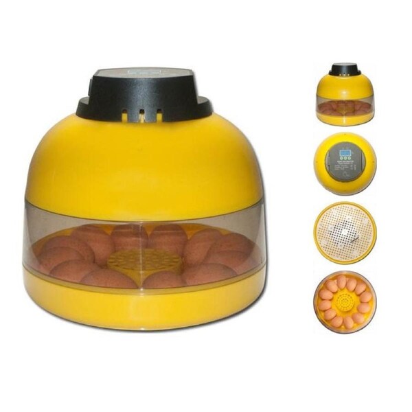 JANOEL Semi Automatic 10 Eggs Mini Incubator Kit