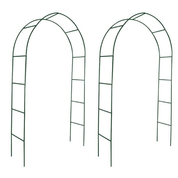 Garden Arch 2 pcs Climbing Plants vidaXL