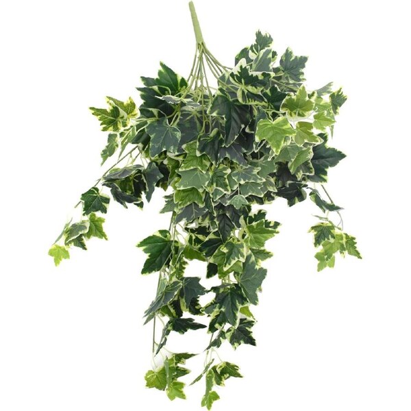 White Tipped Hanging Artificial Ivy Bush - 100cm