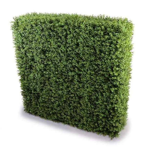 UV Resistant Portable Pittosporum Buxus Artificial Hedge 1m High x 1m Wide x 25cm Deep DIY Assembly