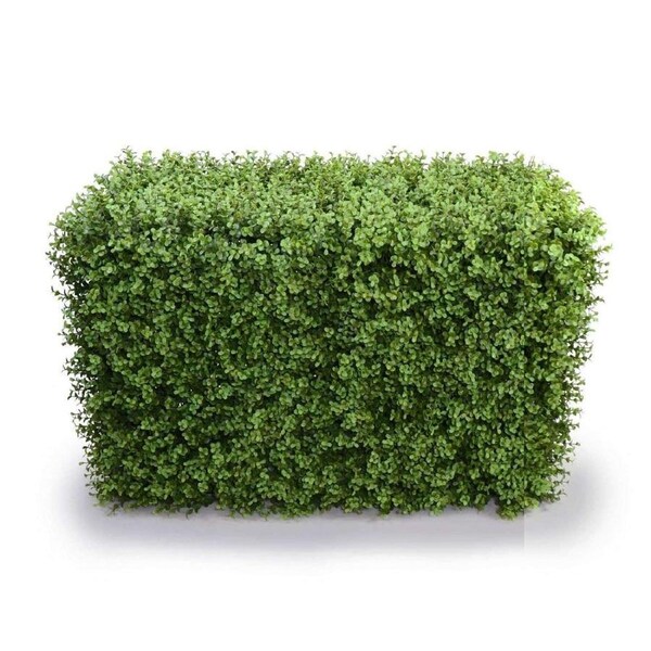 Portable Pittosporum Artificial Hedge UV Resistant 1m long x 50cm high