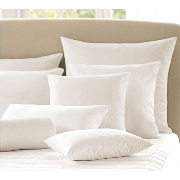 Small Cushion insert 30x50cm