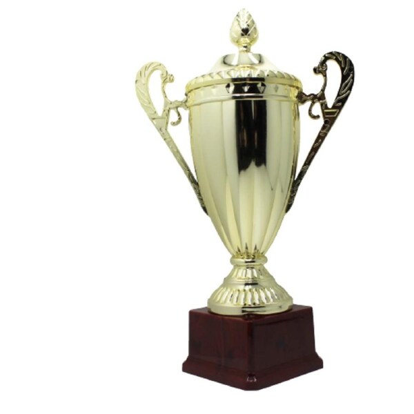 Large Classic Gold Trophy Cup Novelty Winners Prize Solid Achievement Award