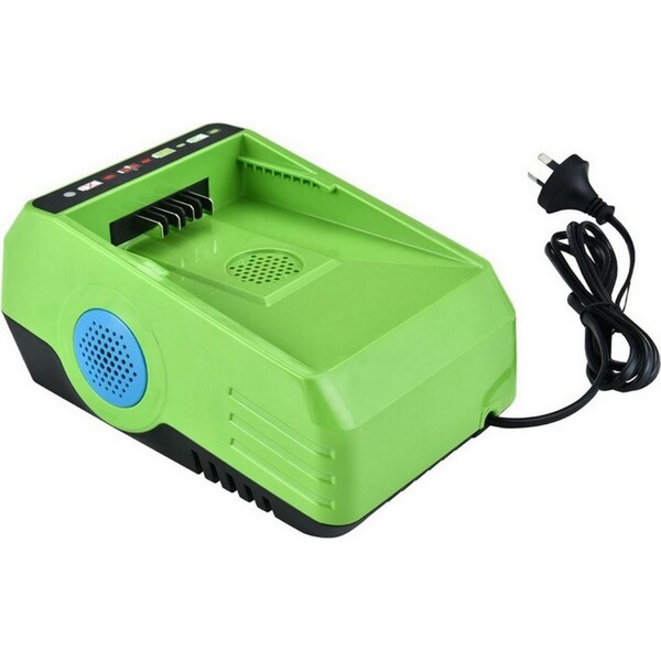 Neovolta 60V Lithium-ion Battery Charger