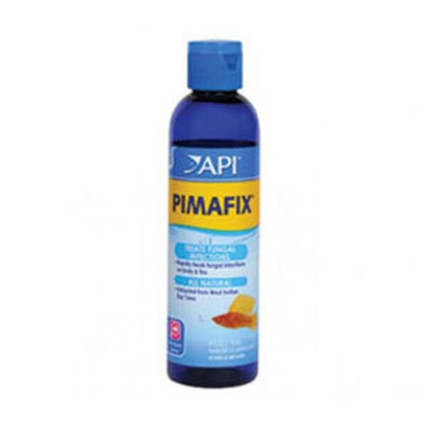 API Pimafix Anti Fungal Remedy Treatment for Aquarium Fish - 118ml