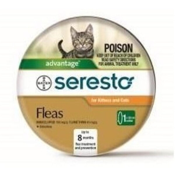 Seresto Flea & Tick Collar for Cats & Kittens - 8 Month Protection (Bayer)