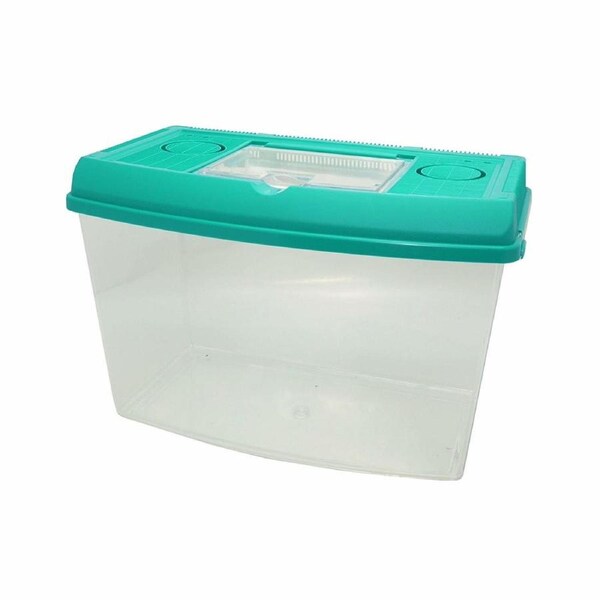 Curved Plastic Fish Tank - Medium (24cm x 15cm x 16.5cm)