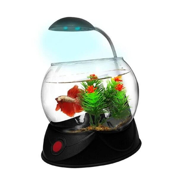 Betta Black 1.8L Glass Fish Bowl with Light for Siamese Fighting Fish (Aquatopia)