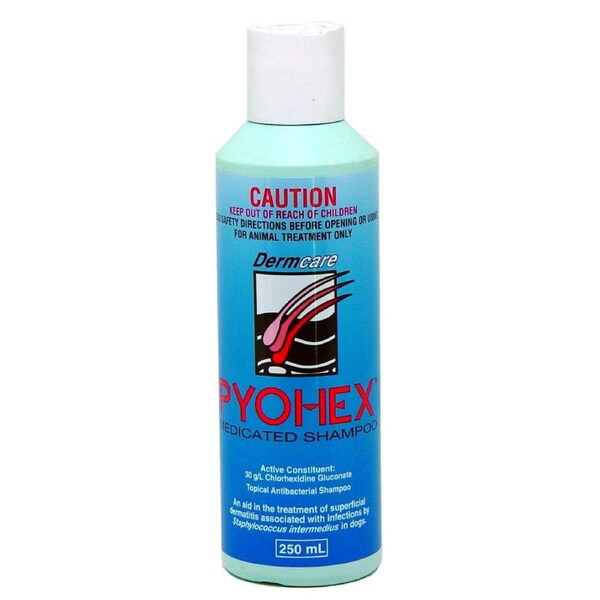Dermcare Pyohex Shampoo for Dogs (250ml) Skin Infections & Hot Spots