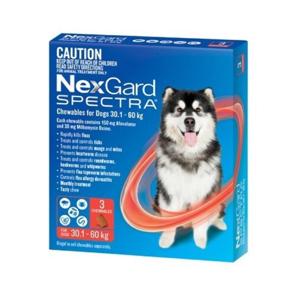 NexGard SPECTRA Flea, Tick & Heartworm for Dogs 30.1-60kg - Red - 3 Pack
