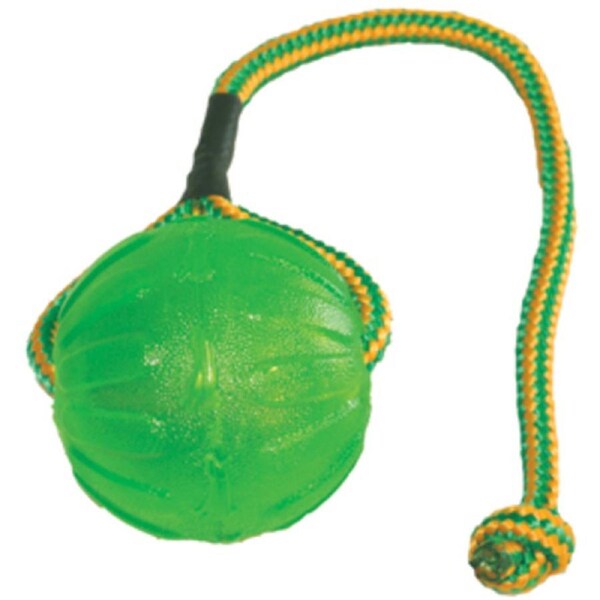 Dog Swing & Fling Chew Ball Dog Toy - Medium/Large (Starmark)