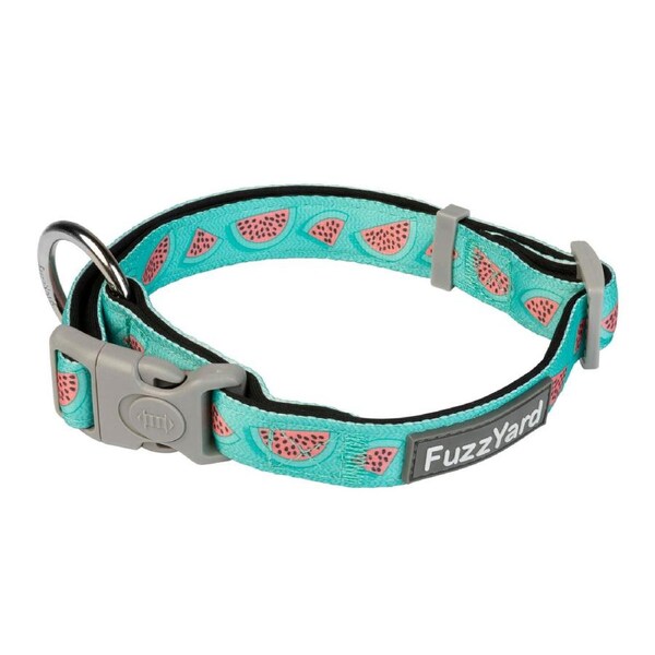 Summer Punch Medium FuzzYard Dog & Puppy Collar - 20mm x 32cm to 50cm