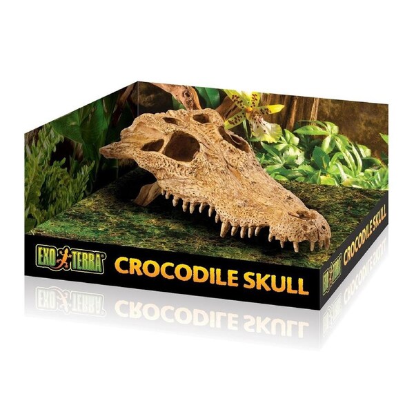 Medium Crocodile Skull Reptile Decoration by Exo Terra