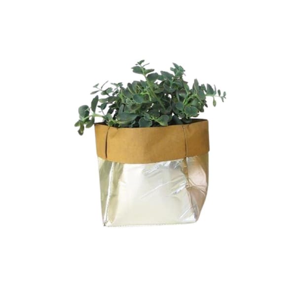 IS Gift Bags of Potential Silver For Plants and Fruits