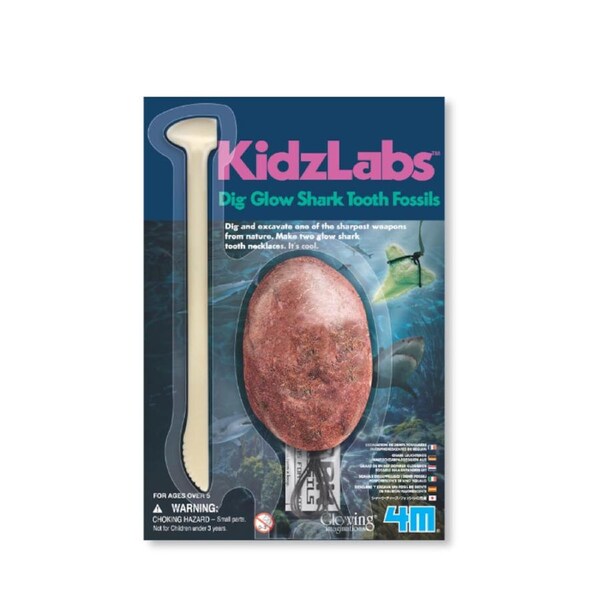 4M - KidzLabs - Shark Tooth Fossil