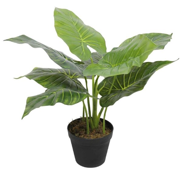 Artificial Potted Taro Plant / Elephant Ear 55cm