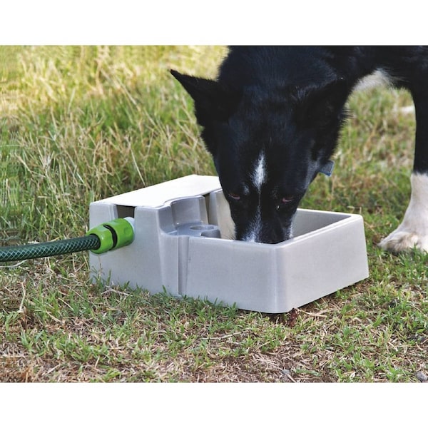 Bainbridge Automatic Pet Waterer 2Lts