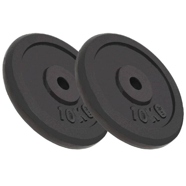 Weight Plates 2 pcs 2x10 kg Cast Iron vidaXL