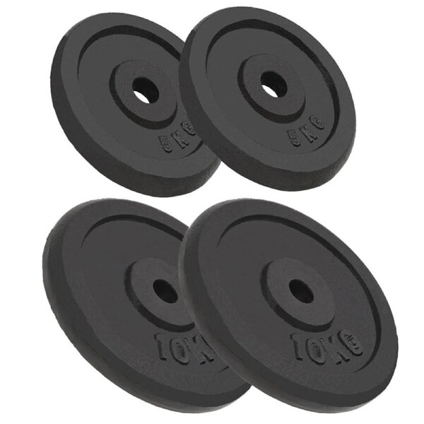 Weight Plates 4 pcs 2x10 kg+2x5 kg Cast Iron vidaXL