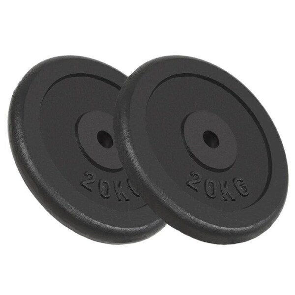 Weight Plates 2 pcs 2x20 kg Cast Iron vidaXL