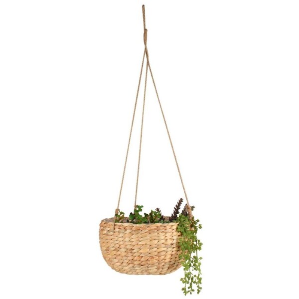 Hanging Basket Water Hyacinth 23x12cm