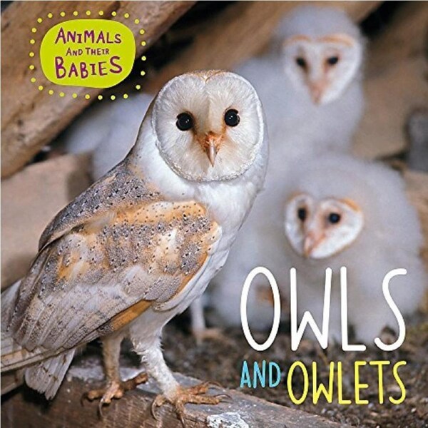 Animals and their Babies: Owls & Owlets (Animals and their Babies) - Children's