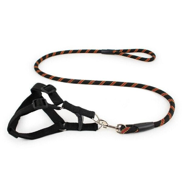 Pet Dog Collar Lead Training Leash Safety Collars S M L Halter Nylon Black / S