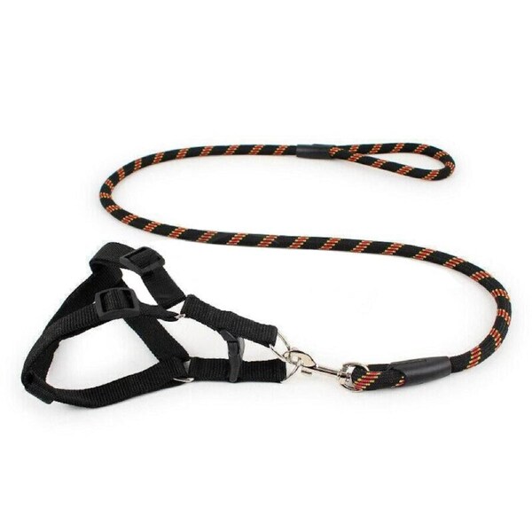 Pet Dog Collar Lead Training Leash Safety Collars S M L Halter Nylon Black / L