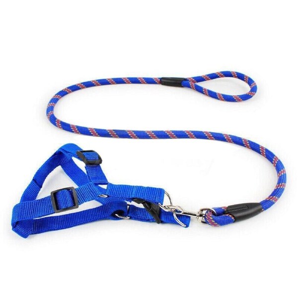 Pet Dog Collar Lead Training Leash Safety Collars S M L Halter Nylon Blue / XL