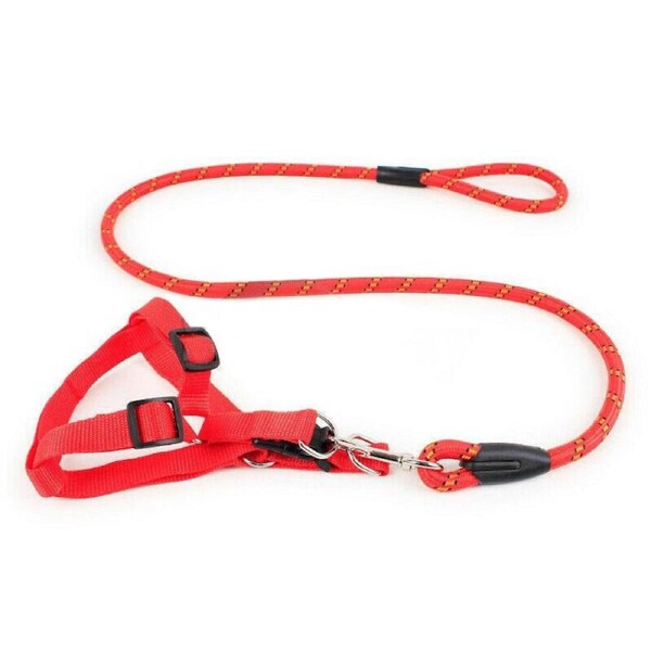 Pet Dog Collar Lead Training Leash Safety Collars S M L Halter Nylon Red / L