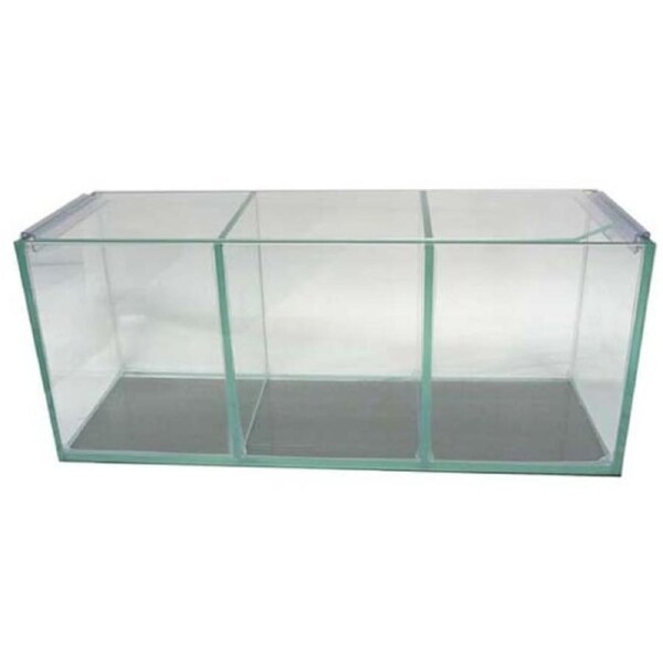 Petworx Fighter Tank Trio Polished Corners 3 Bay Betta Fighing Fish