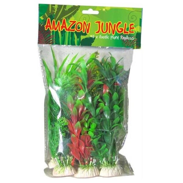 Amazon Jungle Plants 30Cm Mixed 6 Pack
