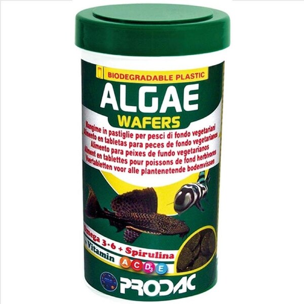 Prodac Algae Wafers 50G Catfish Pleco Bristlenose Disc