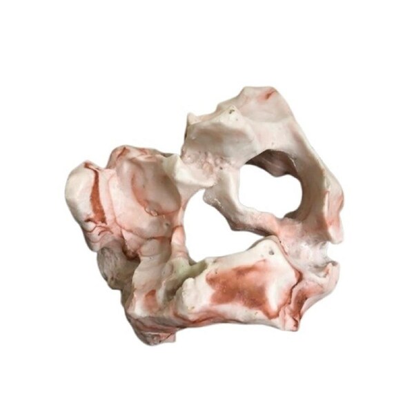 Petworx XL Rock 26X22X27Cm