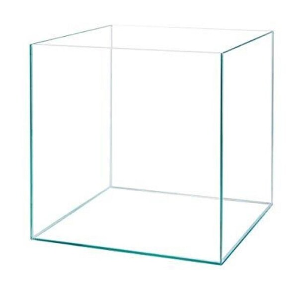 Petworx Glass Aquarium Cube 31X31X31Cm