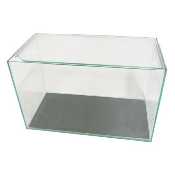 Petworx Glass Tank 12X7X8" 30X18X20Cm Polished Edges Glass Lid Foam Base