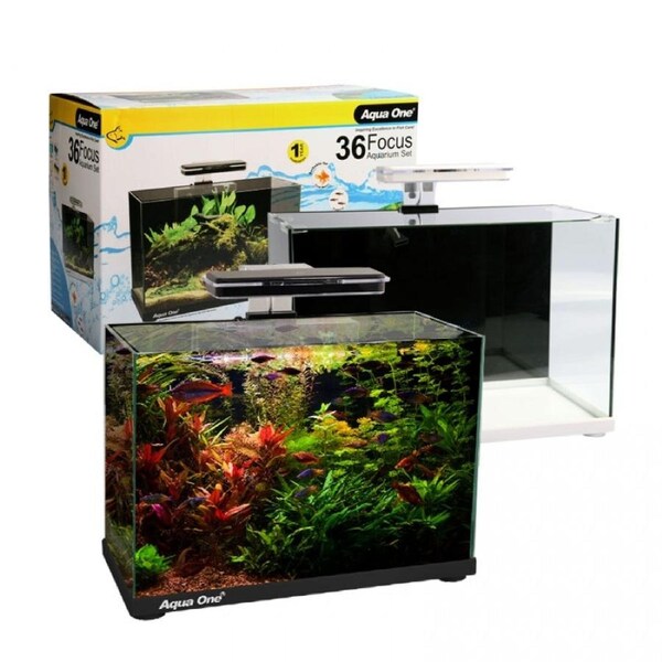 Aqua One Focus 36 Glass Aquarium 36L 50X25X34Cm 56223Bk Black