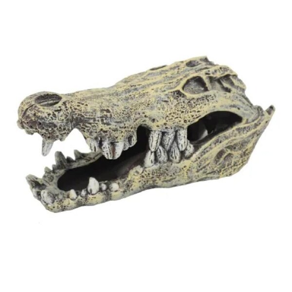 Lost City Croc Skull F2085