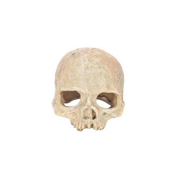 Petworx Skull 15cm