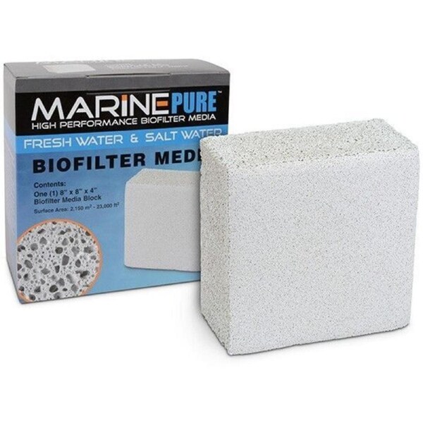 MarinePure 8x8x4" Block