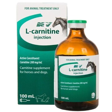 l-carnitine amino acid supplement for dogs Ceva L-Carnitine Supplement Amino Acid Horses Dogs 100ml