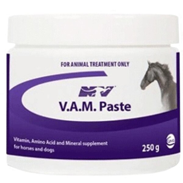 Ceva V.A.M. Vitamin Mineral Supplement Horse Dog Paste 250g