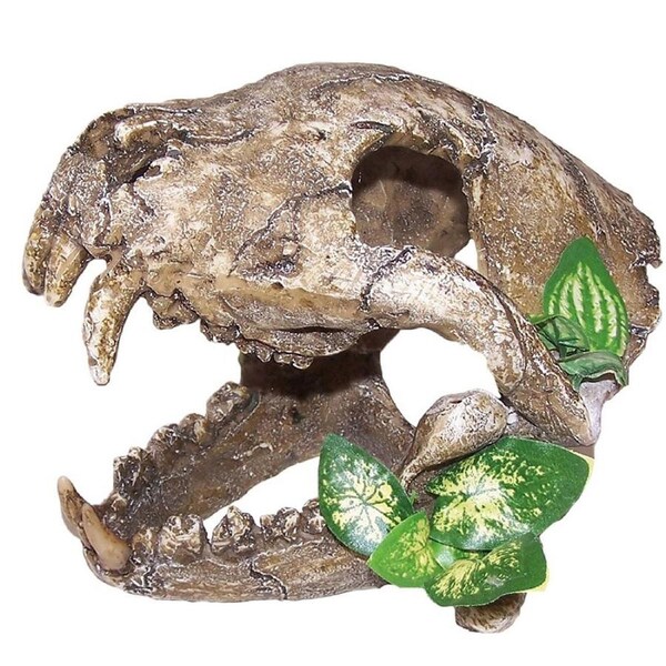 Urs Ornament Skull Big Canines Reptile Enclosure Accesory Large