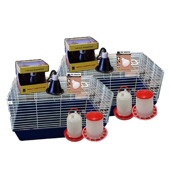 Urs Chicken Starter Home Rearing Young Chickens Kit